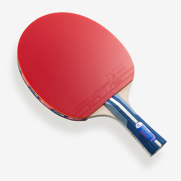 张本智和 1800 KIDS